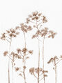 Image Not Available
